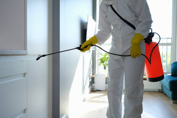 Best Kitchen Mold Remediation in Belleair, FL