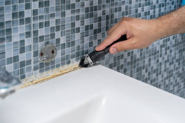 Best Emergency Mold Remediation in Belleair, FL